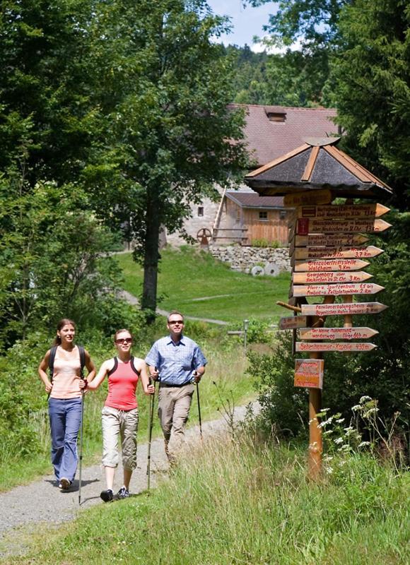 Landgasthof Am Sonnenhang Vohenstrauss Extérieur photo